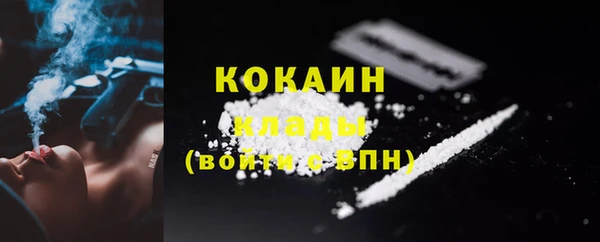 дмт Лабытнанги