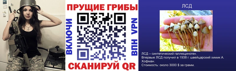 Псилоцибиновые грибы Psilocybe  где купить наркотик  ОМГ ОМГ зеркало  Нерехта 