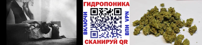 Марихуана THC 21%  кракен зеркало  Нерехта 